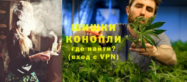 молекула духа Гусев