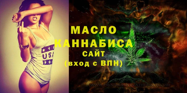 молекула духа Гусев