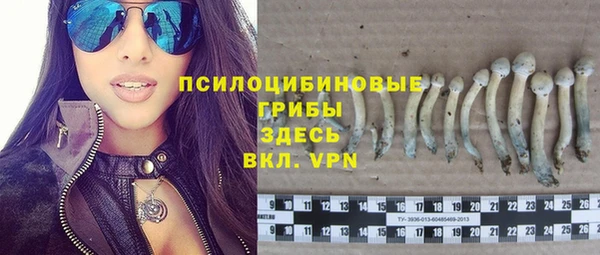 кокс Гусь-Хрустальный