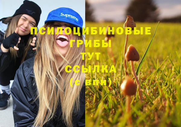 молекула духа Гусев