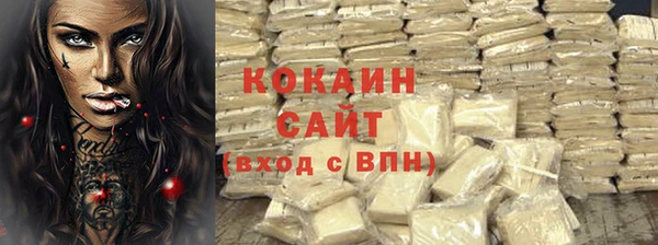 молекула духа Гусев