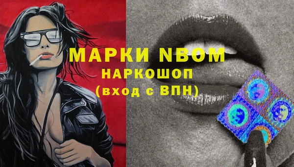 молекула духа Гусев